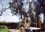 Demolition begins...