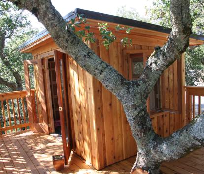 Cedar Urban Studio Shed 7x10 with French double doors in Santa Rosa, California. ID number 166110.