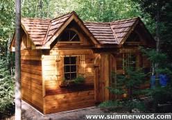new-shed-palm-10x16.jpg