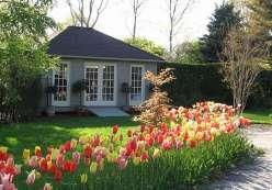 spring4_05-21-07.JPG