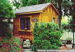 shed-palm-6x8-1.jpg