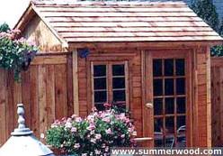 shed-palm-6x8-3.jpg