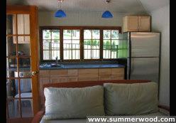 111-1155_IMG_mid.jpg