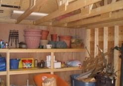 lis1_10-30-06.JPG