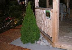 DSCF2927.JPG