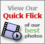 View our Quick Flick slideshow - spectacular sheds, gorgeous gazebos, calming cabins, and much more.