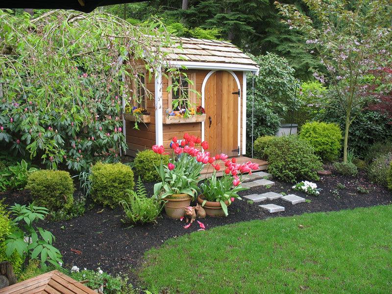 Cedar Palmerston shed 5x7 with arched single door in Issaquah, Washington. ID number 54973-1