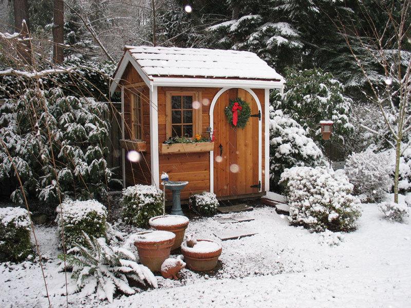 Cedar Palmerston shed 5x7 with arched single door in Issaquah, Washington. ID number 54973-2