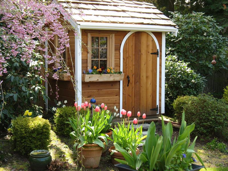 Cedar Palmerston shed 5x7 with arched single door in Issaquah, Washington. ID number 54973-3