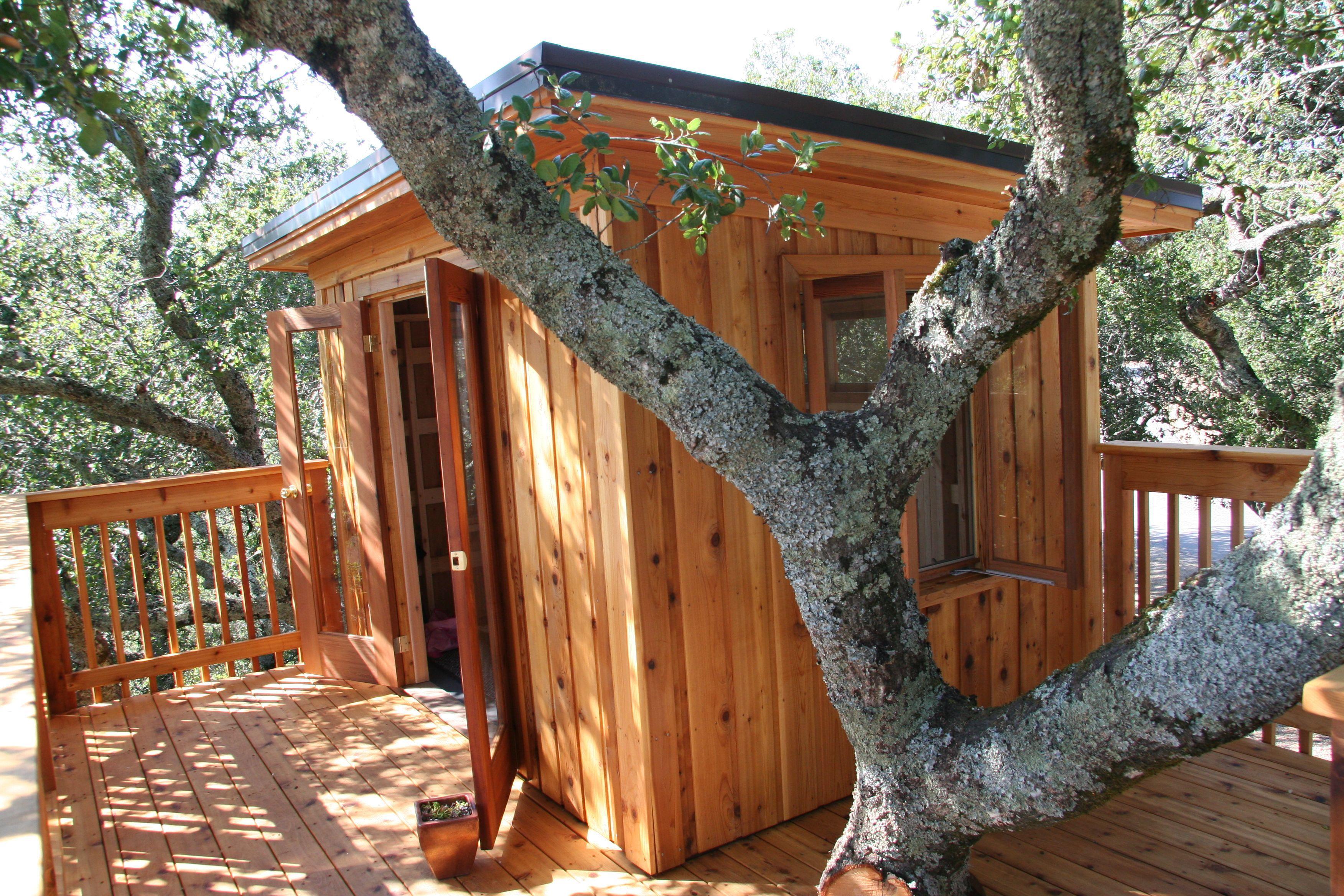 Cedar Urban Studio Shed 7x10 with French double doors in Santa Rosa, California. ID number 166110-1