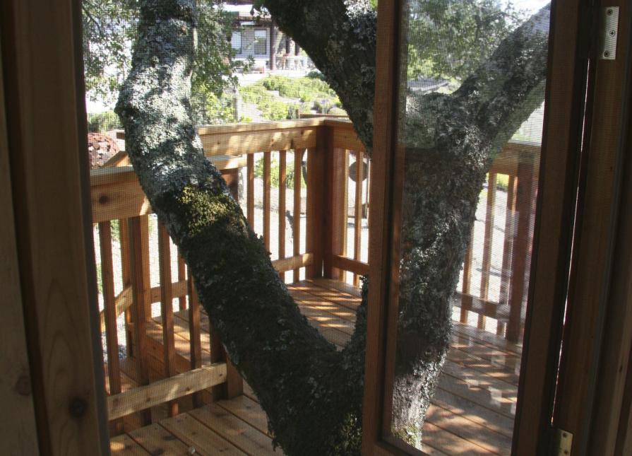 Urban Studio Tree house shed in Santa Rosa, California