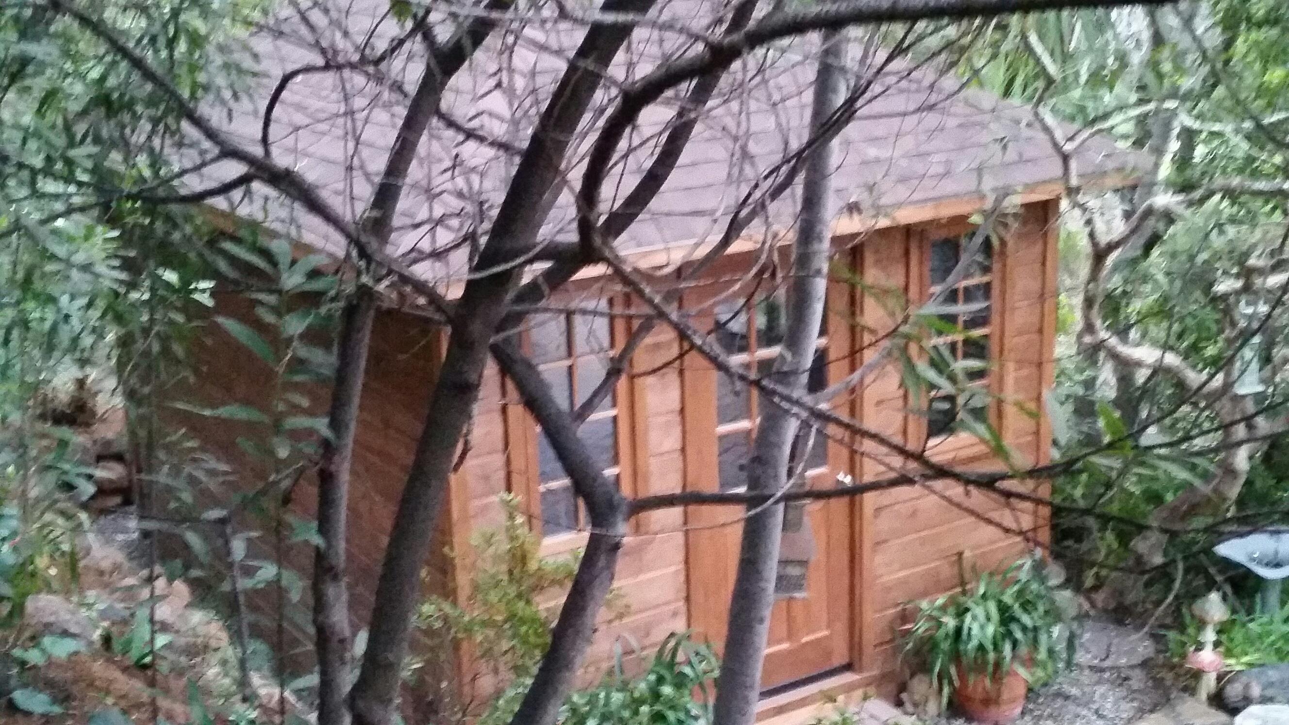 Sonoma backyard studio 10x14 with single casement full muttin window in Daly City California. ID num