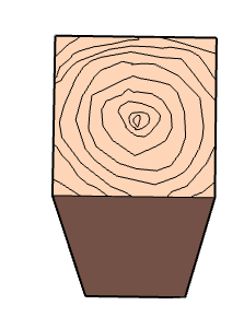 Western Red Cedar STK KD 6 x 6 Posts 