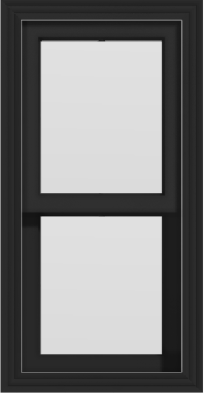 Fiberglass Double Hung Window (Full Lites) (Black)