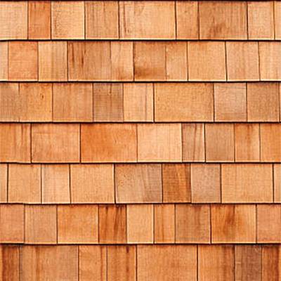 Cedar Shingle Siding
