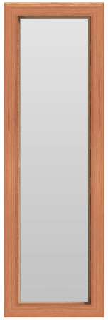 Sidelite Window (No Divided Lites)